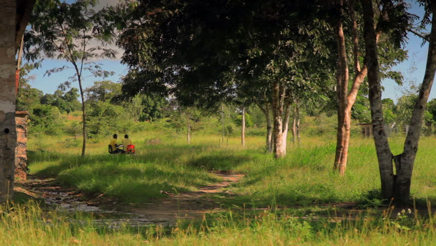 Two girls studying under a tree outside in Kenya, Africa.