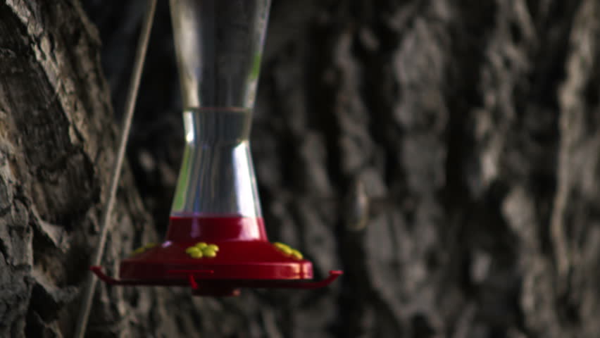 A hummingbird flying up to a bird feeder and drinking from it.