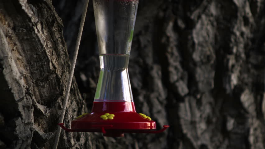 A hummingbird flying up to a bird feeder, and drinking from it multiple times