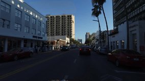 High definition backwards panning shot of palm trees in South Beach, Miami, whilst using steadicam 