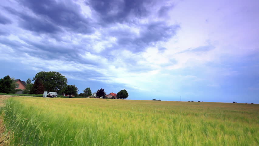 A field in Copenhagen, Denmark. Rural Area.