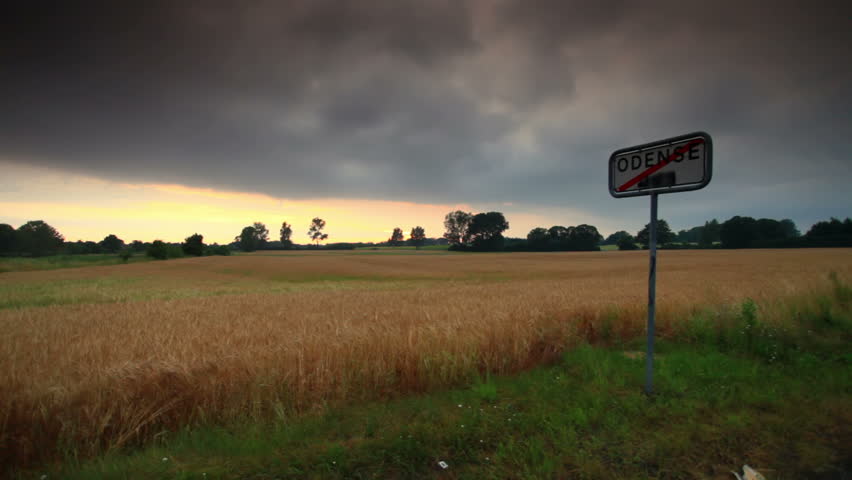 Wheat field in Copenhagen, Denmark. Sign.