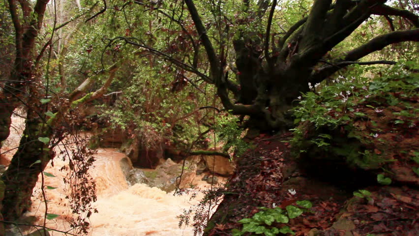 Dolly shot left to right of the raging Iyon Tanur stream in Israel.  the stream