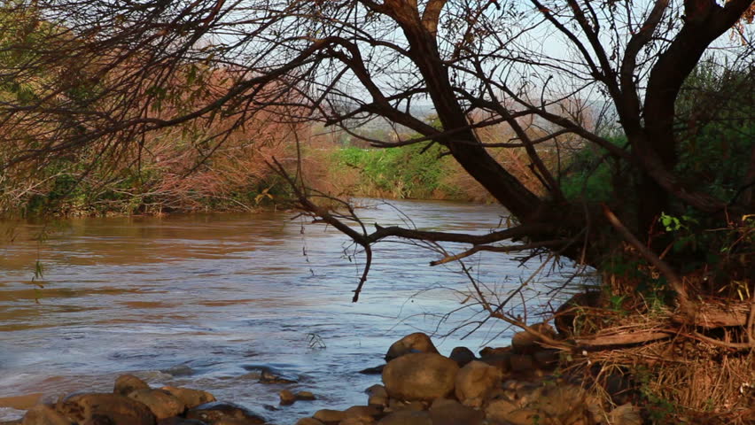 Shore level angle of the Jordan River in the Galilee of Israel.  