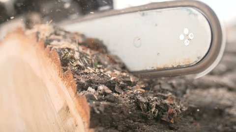 Cutting through wood with chainsaw in slow motion.