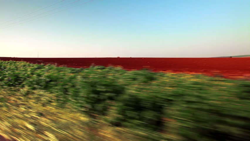 Drive-by of plowed field with green, thick roadside foliage in the foreground in