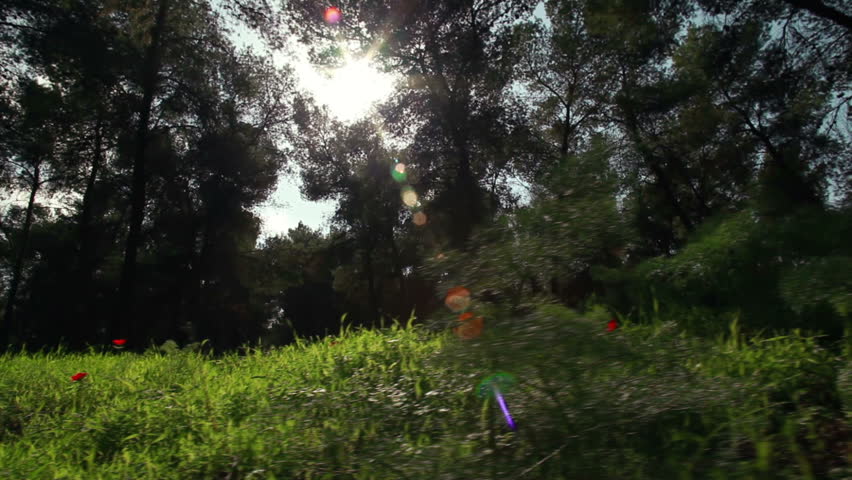 The shot is from the Mount Tabor region of Israel.