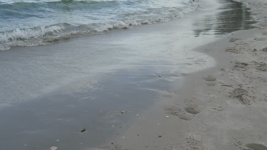 Soft wave of sea on sandy beach. Background. soft focut | Shutterstock HD Video #17040964
