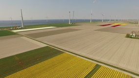 Aerial video footage of a offshore and onshore wind park in the netherlands near Amsterdam