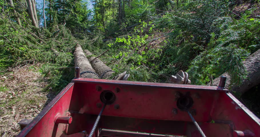 A tractor is slowly pulling tree trunks on a forest path. It is taking them out of a forest where they will be used for firewood. Close-up shot.