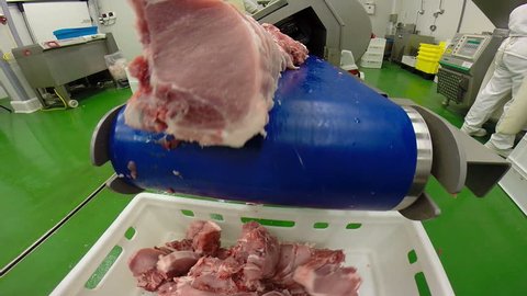 Raw Pork Chops Cutting Machine in Action / Raw pork chops on a conveyor belt inside a meat processing and packing factory 