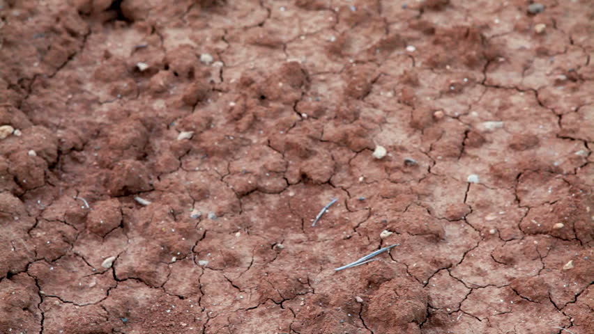 Close up dolly across dry, cracked, barren desert soil to a row of cultivated,