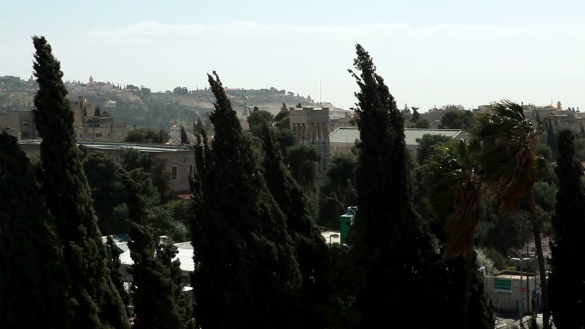 Jerusalem buildings as seen through trees swaying vigorously in the winds of