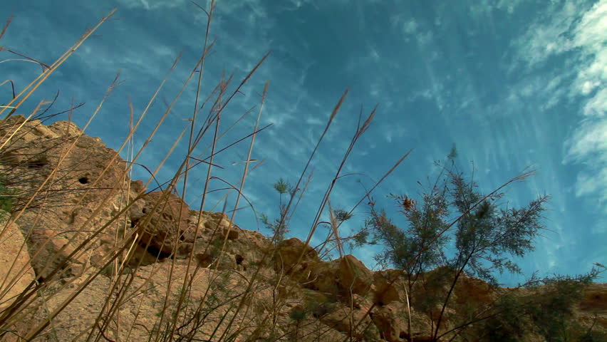 Shooting through reeds, up a cliff face at Ein Gedi Nature Reserve in Israel to