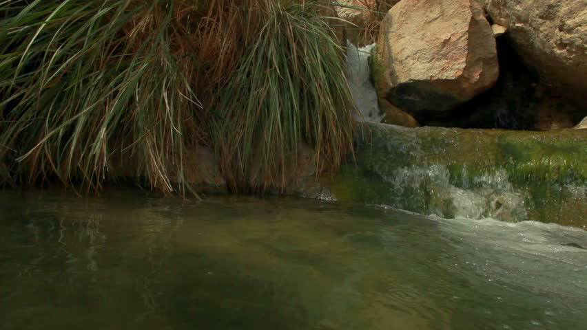 Dolly across a pool at the Ein Gedi Nature Reserve in Israel as a stream of