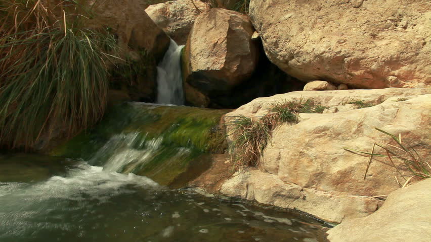 A pool at the Ein Gedi Nature Reserve in Israel with a stream of water flowing