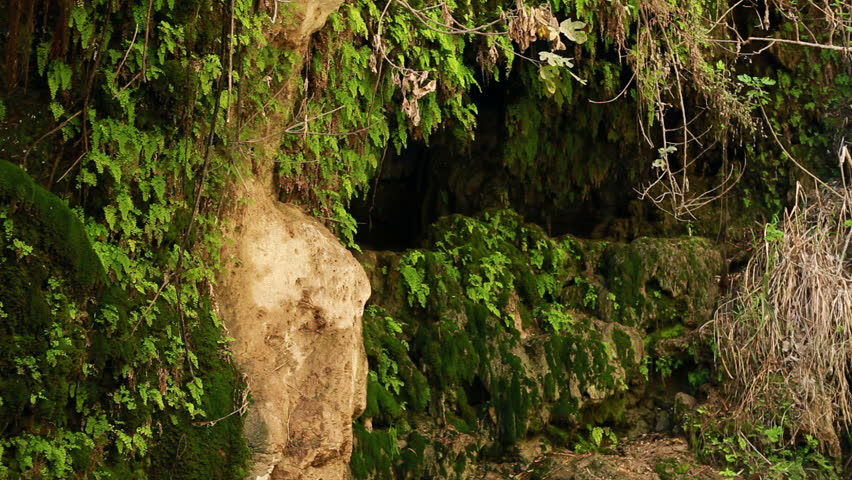Ein Gedi Nature Reserve cave, flanked by moss vines and other foliage in Israel.