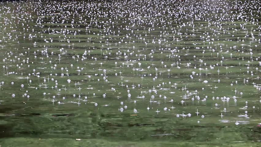 Водные осадки. Сильный ливень. Спорый дождь. Спорый дождь на реке. Спорный дождь на реке.