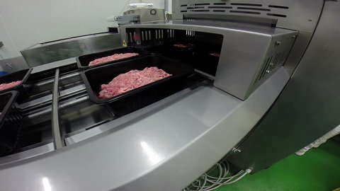 Boxes With Fresh Minced Pork Meat on a Conveyor Belt /  Packed fresh minced pork meat moving on production line in a meat processing factory 
