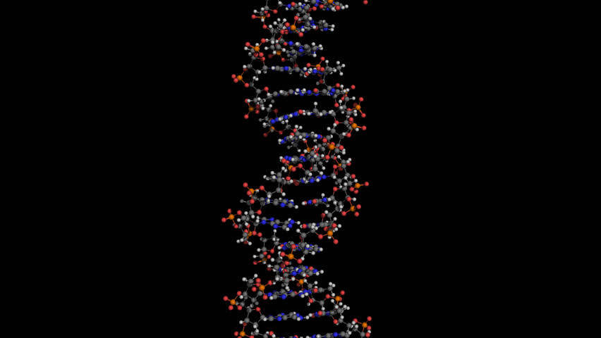 dna ball jumbo