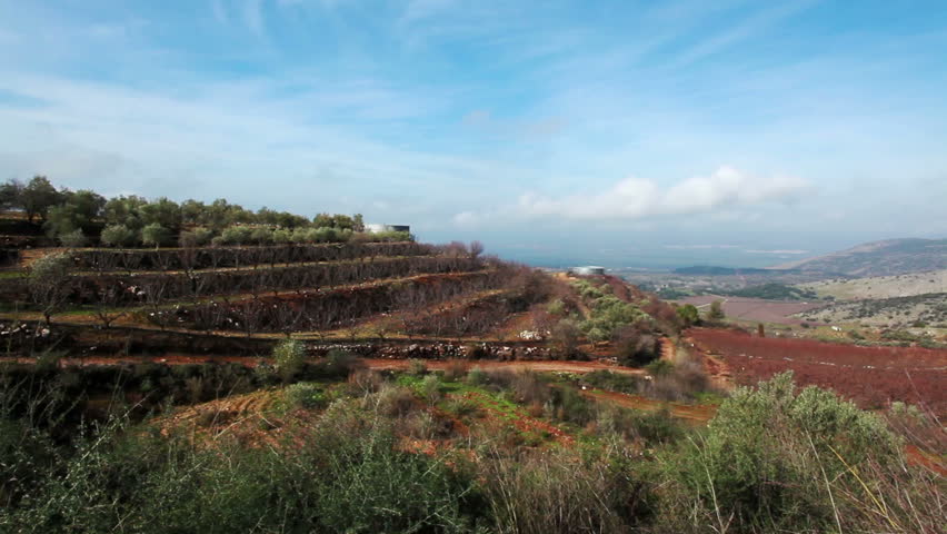 Wide dolly shot left to right of the fields and orchards along the hillsides and valley of the Golan Heights in Israel.  The move is showing the tops of wild shrubs In the foreground.