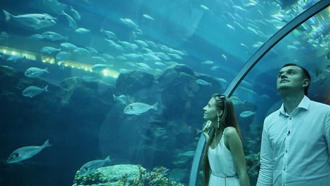 Guy and Girl walk on an underwater aquarium.