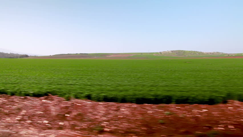 Drive-by in the Ein Harod farmland region of Israel showing lush green crops in