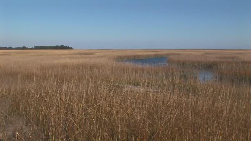 Overview of Wachapreague marshland with lagoon in Accomack county Eastern shore of Virginia, USA  