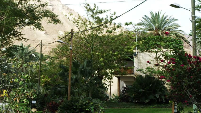 Still shot of a residence with trees, grass, flowers, shrubs, light pole and