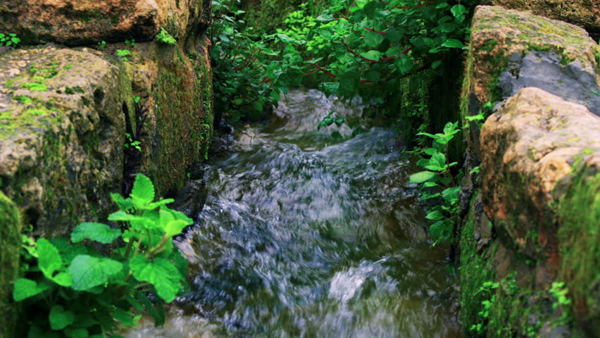 Spring water running through an ancient culvert with foliage growing in the