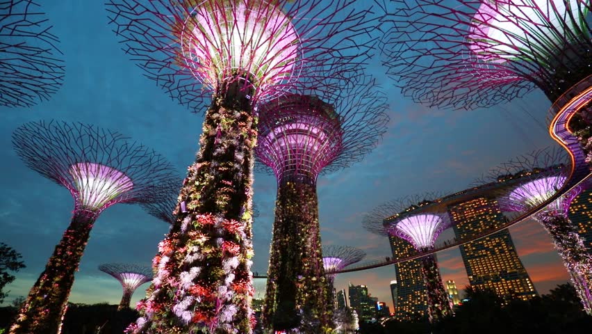 Gardens by the Bay, Singapore Royalty-Free Stock Footage #17082226