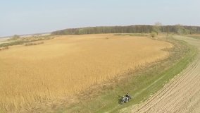 Motorcyclist riding on a field in the countryside. Shooting from the air.