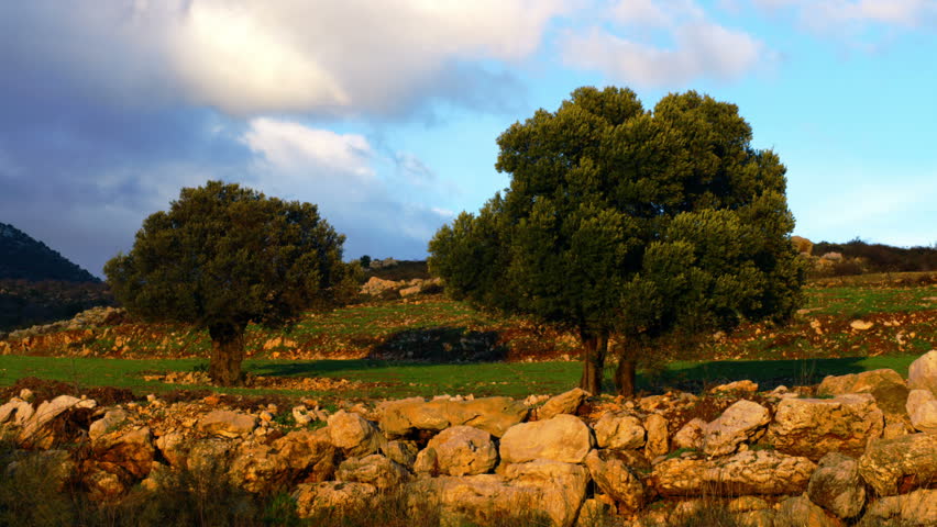 Early morning shot taken of the pastoral hillside behind the Nimrod Fortress in