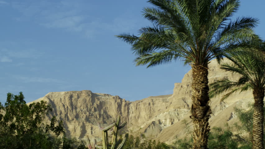 Ein Gedi Israel area,  panning left to right shot facing west toward the barren