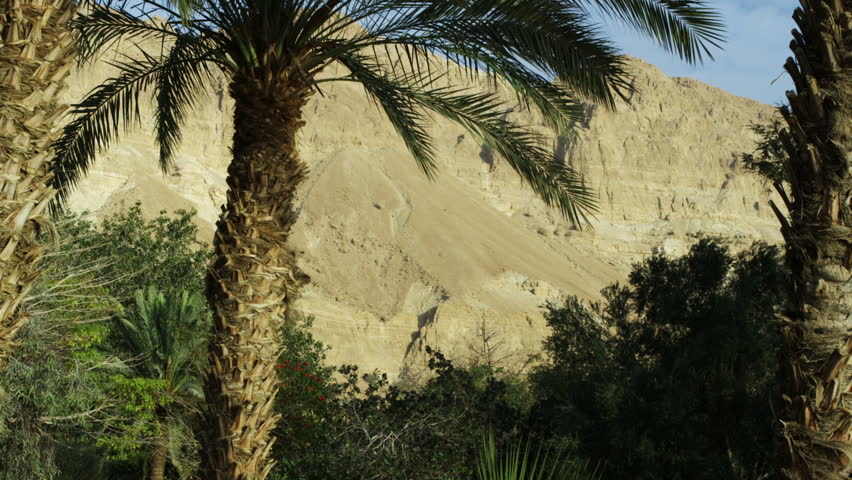 Ein Gedi Israel area, shot facing west toward the barren mountains, through a