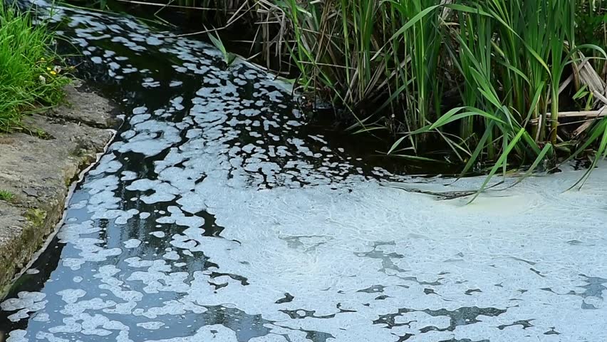 Pollution of fresh water,the ingress of various pollutants into the waters of rivers and lakes.Foam on the surface of the water. A-surfactant pollution. Royalty-Free Stock Footage #17087026