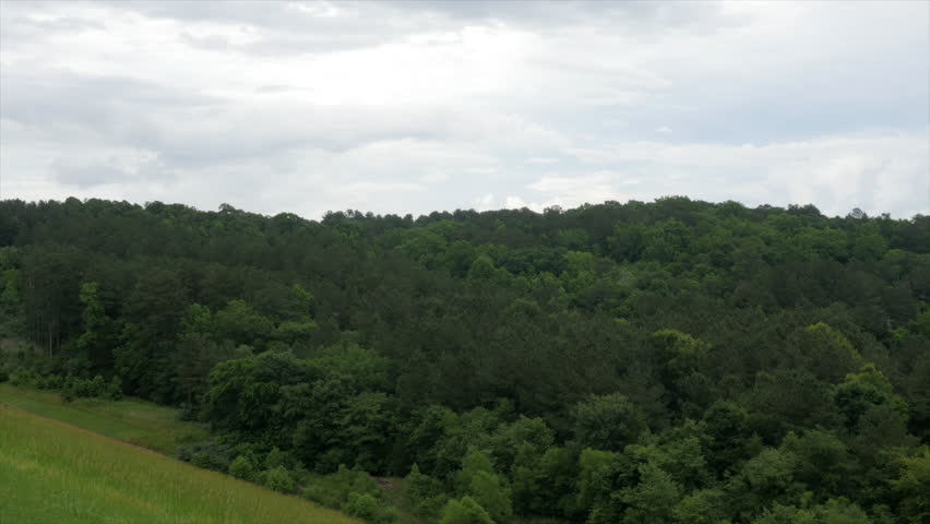View of Storm Clouds Over Dense Forest (HD)