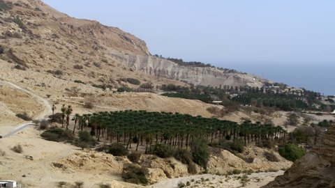 Wide shot of an orchard and an oasis at the foot of the Ein Gedi Mountains with the Dead sea and sky of Israel in the background.  