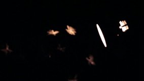 winged Termites playing the light of desk lamp in the dark background