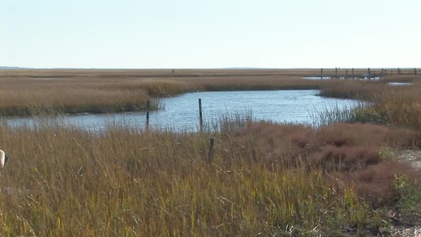 Overview of Wachapreague marshland with lagoon and wooden posts in Accomack county Eastern shore of Virginia, USA  