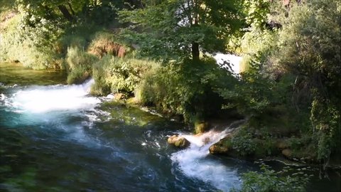 River flowing among trees with sound.