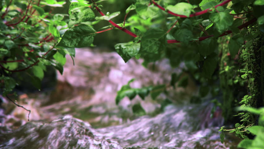 An extreme closeup, racked focus shot of a stream running through an ancient