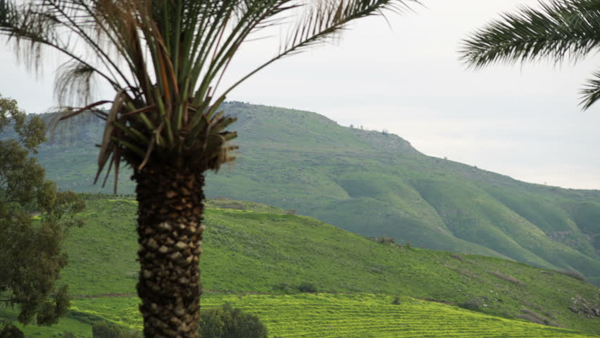 Palm trees, green hills and mountains on the east side of the Sea of Galilee in
