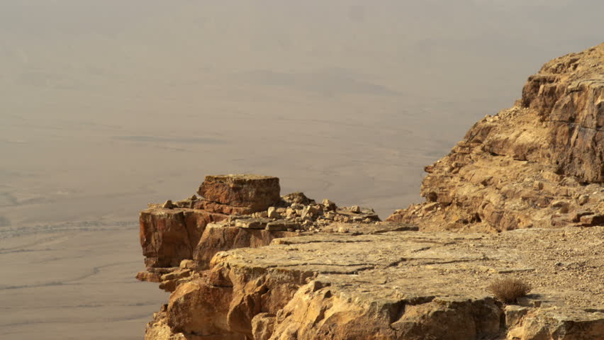 Bird hopping along golden cliff edge with the Mitzpe Ramon Crater, Israel,in the