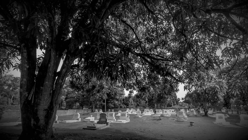 view of Jewish cemetery in black and white with camera passing back through the door railings