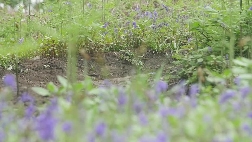 Mountain Biker Going Round Corner in Slow Motion Close Up