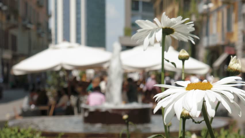People eating and drinkin in Corso Como, Milan, Italy. Flowers in the foreground, soft focus