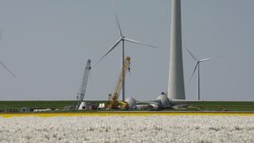 video footage of a wind park in a landscape in the Netherlands near Amsterdam
