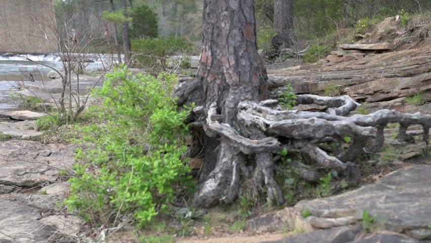 Waterfall in US. Water Stream. 