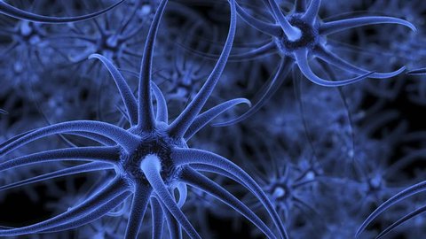 Neuron cells firing off impulses in the brain 